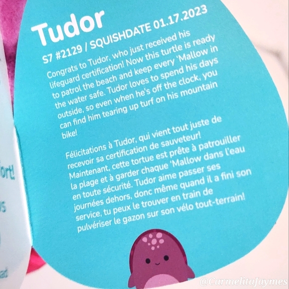 TUDOR 🐢 FTM ☆ Magenta Leather Back Turtle Original Squishmallow ☆ NWT ☆ - Picture 4 of 8